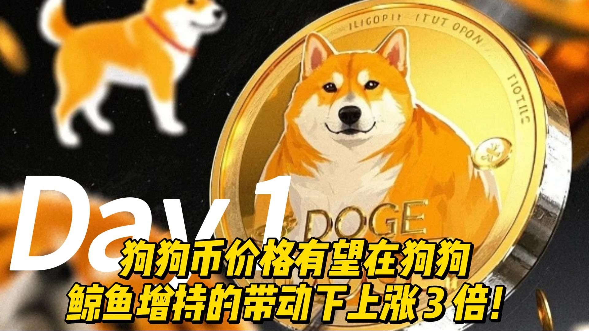 狗狗币刷新年度新高，飙升幅高达FTX%，还还值得跟进吗？，震惊市场的简单介绍-AYX游戏入口